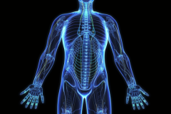 Full_body_massage_animation_medical_intelligence